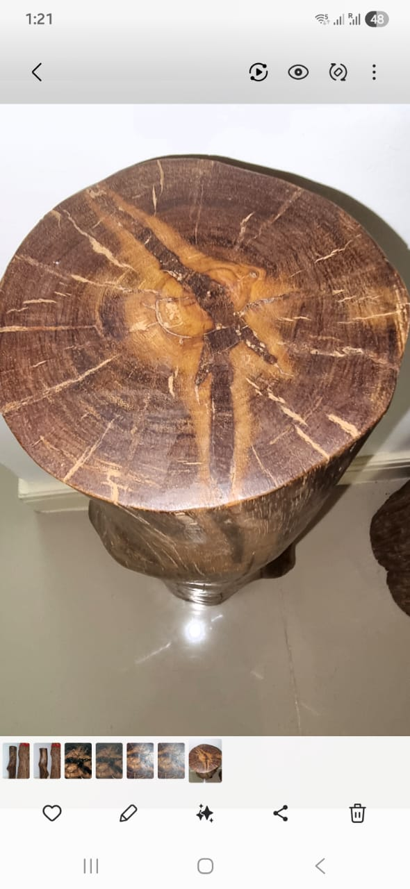 Cross-section of a wood specimen