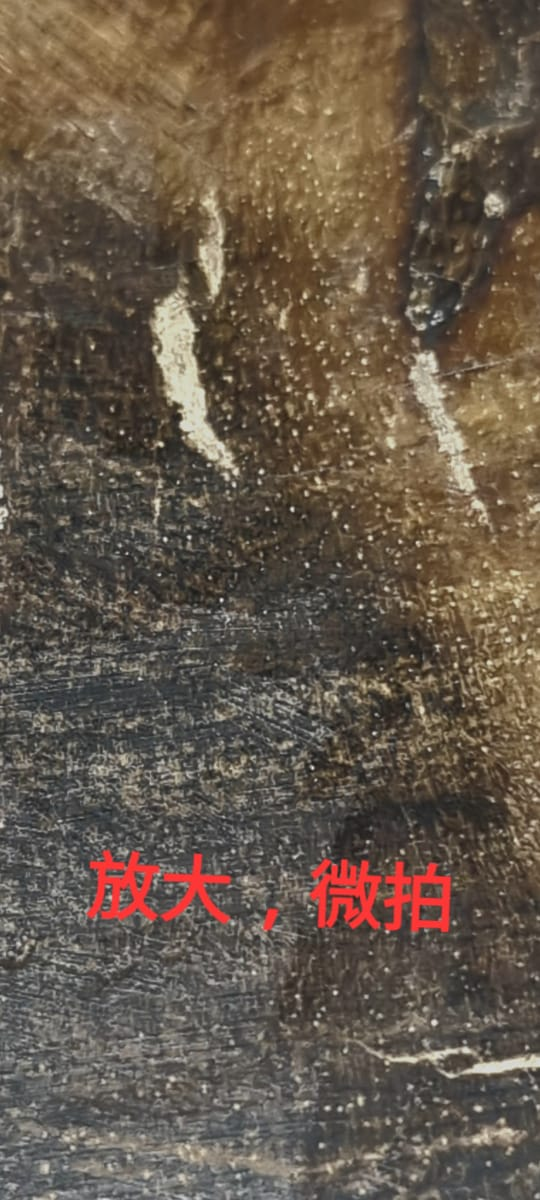 Magnified wood structure