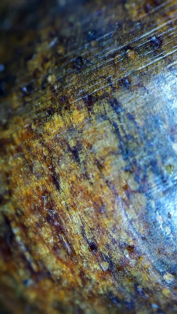 Wood rays and grain