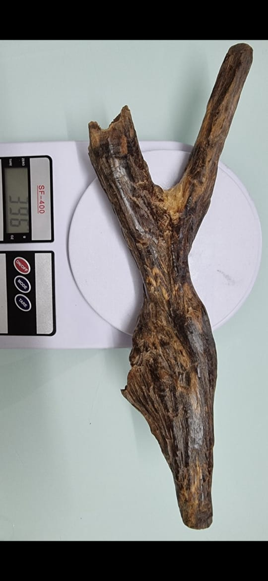 Forked natural form