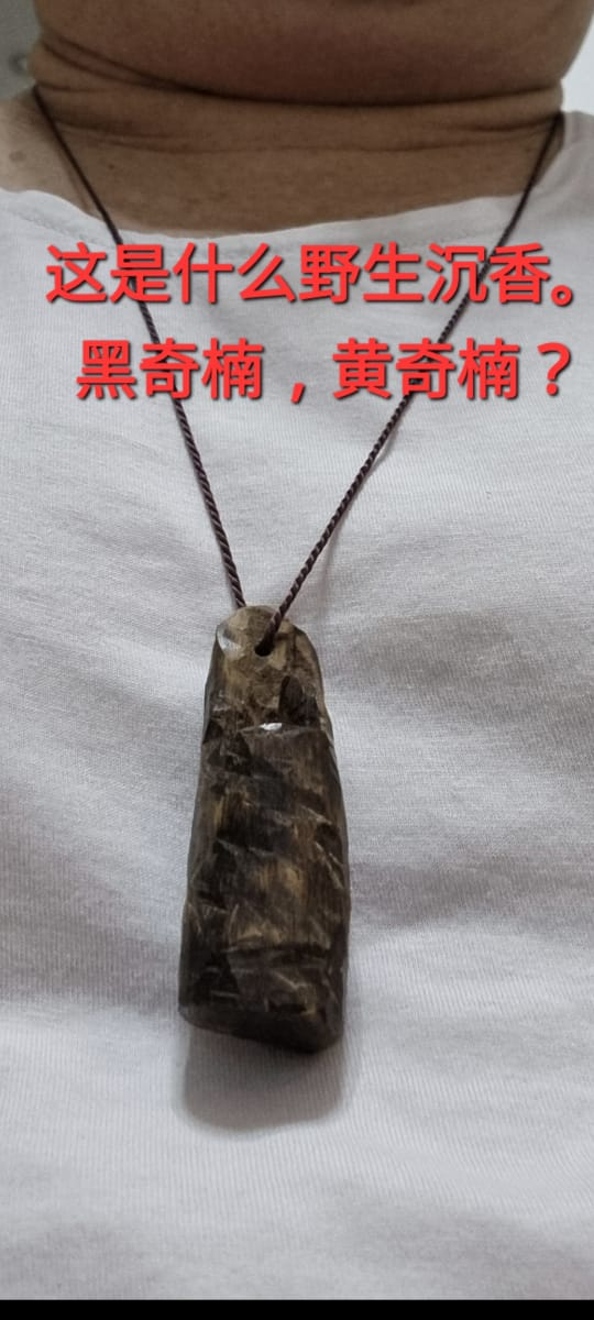 Natural wood necklace