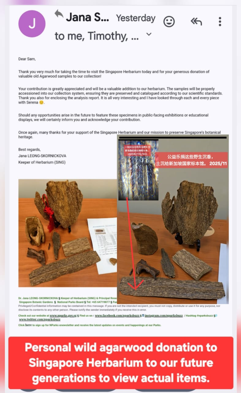 Singapore Herbarium donation acknowledgement and photographs of donated agarwood specimens